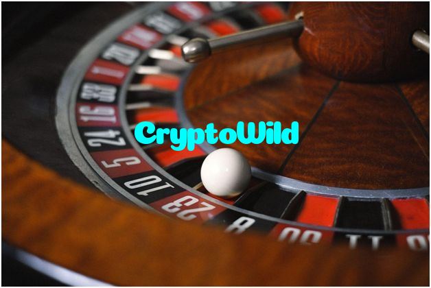 available types of CryptoWild bet including pre-match live express and system bets